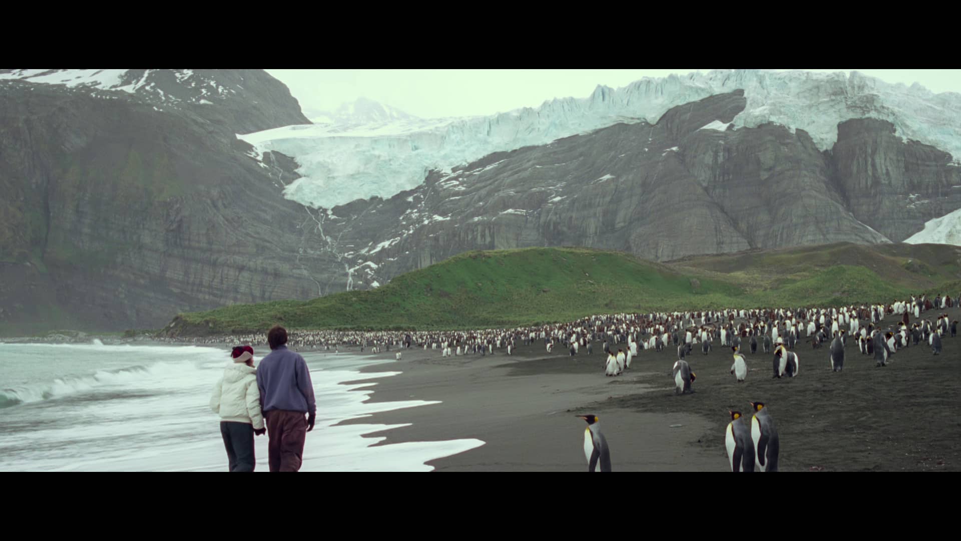 Red Knot Theatrical Trailer on Vimeo