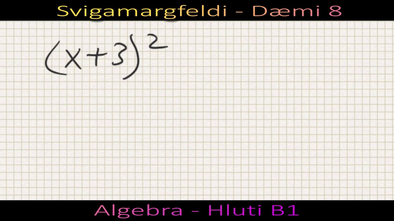 Dæmi 08