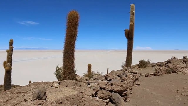 Panorama from Incahuasi Island - Salar de Uyuni