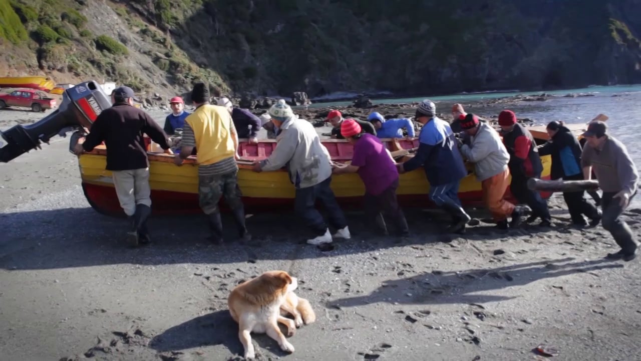 Caleta Estaquilla COCINAMAR Puerto Varas 2014