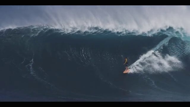 JAWS TYPHOON NURI from TAKE SHELTER PRODUCTIONS
