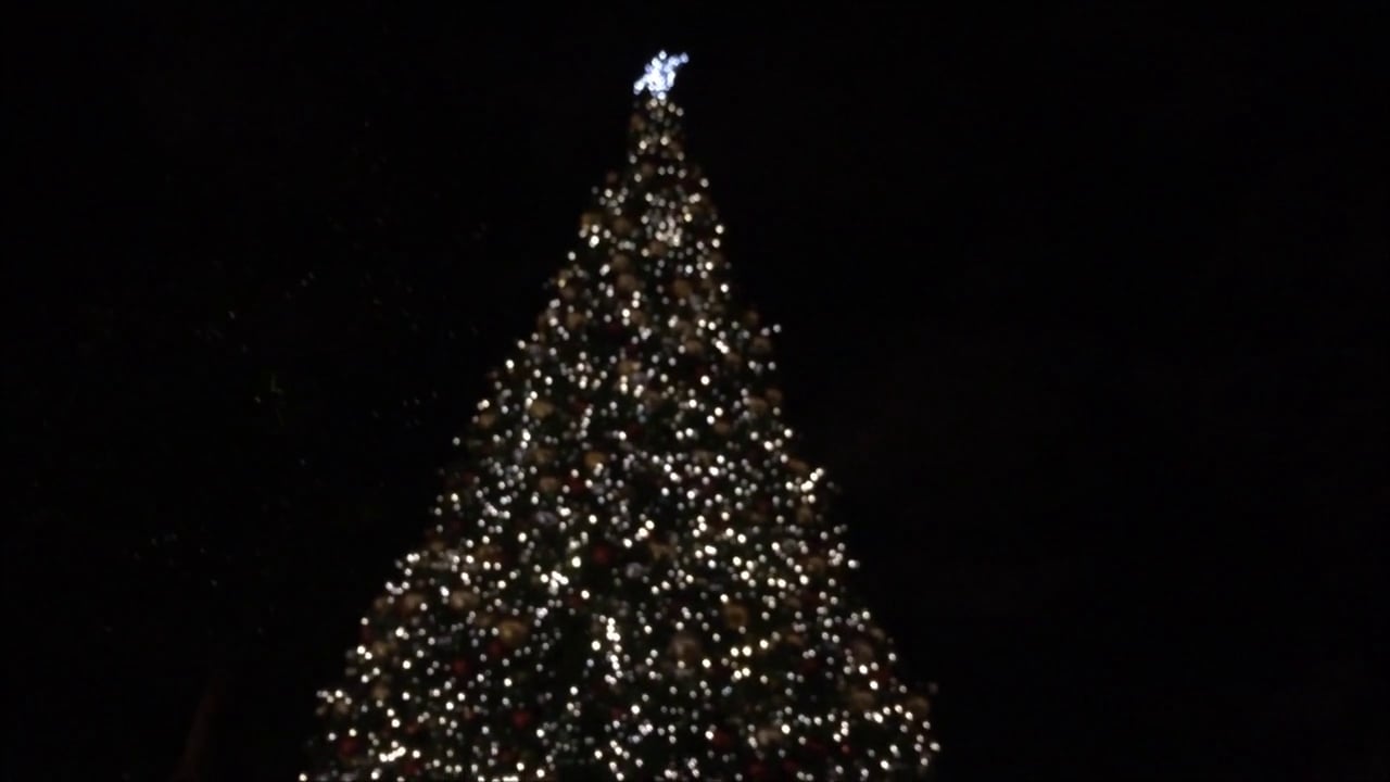 Merrick Park Tree Lighting on Vimeo