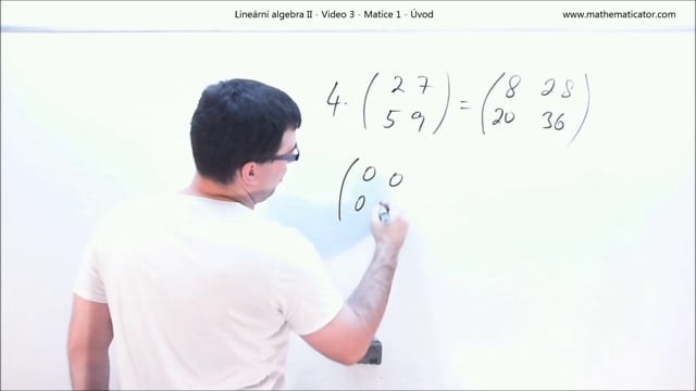 Lineární algebra II - Video 3 - Matice 1 - Úvod