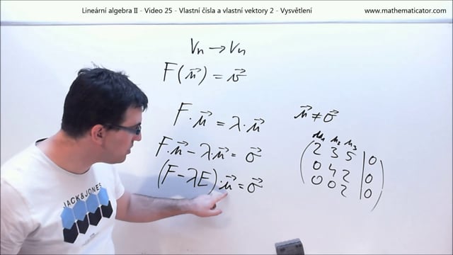Lineární algebra II - Video 25 - Vlastní čísla a vlastní vektory 2 - Vysvětlení