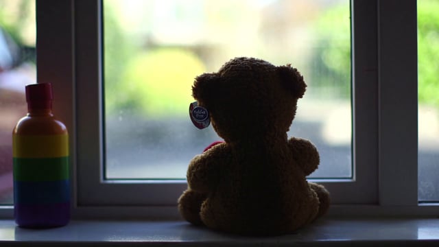 The Bear Truth - GAZE