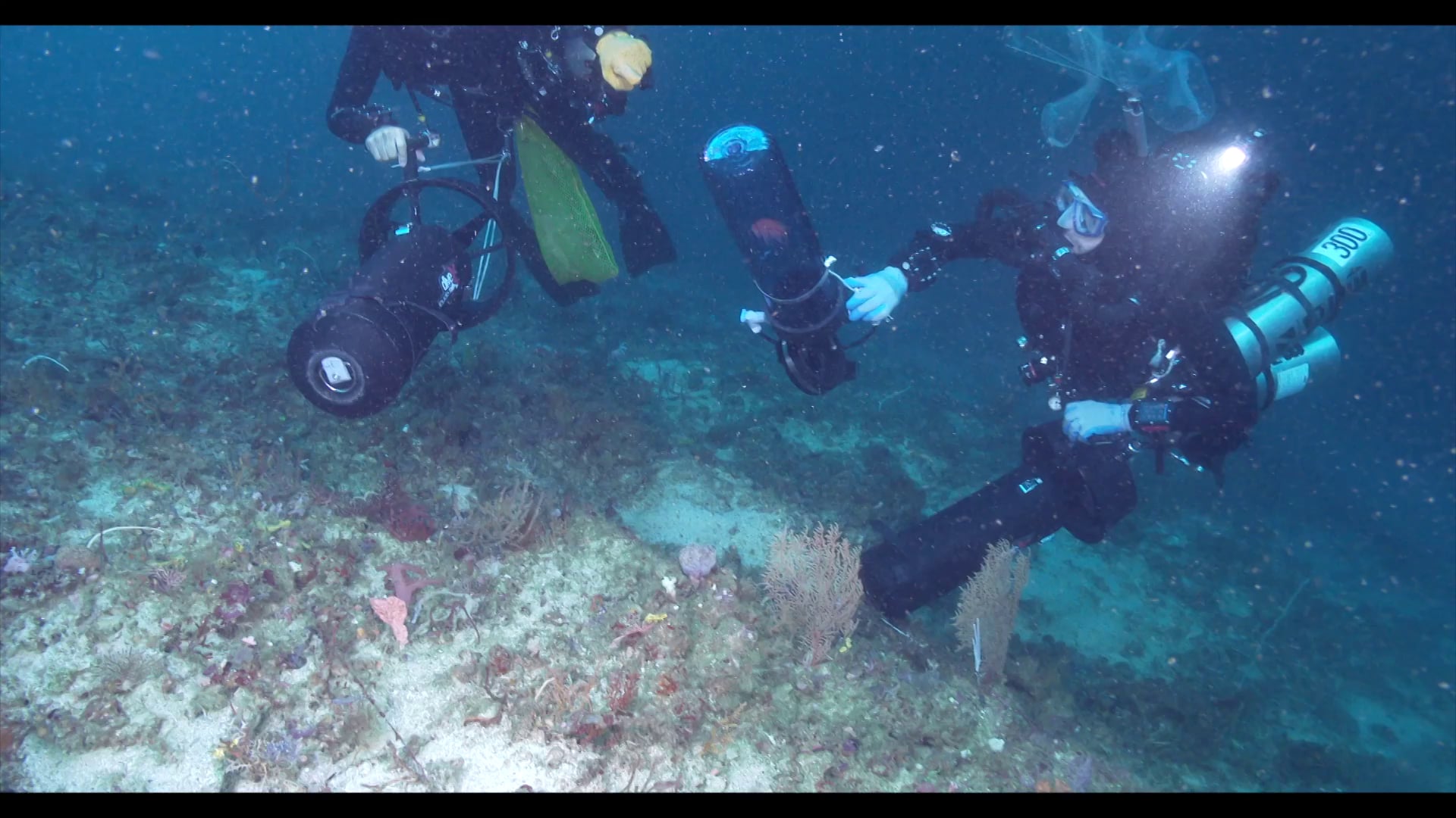 Exploration Diving Twilight Zone on Vimeo