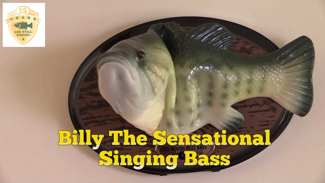 Funtime SS5600 Singing Sensation Billy Bass - Sings I Will Survive - 28 cm  de Long - Vert : : Jeux et Jouets