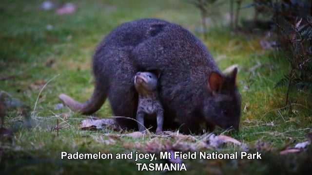 Waterfalls Cafe & Gallery