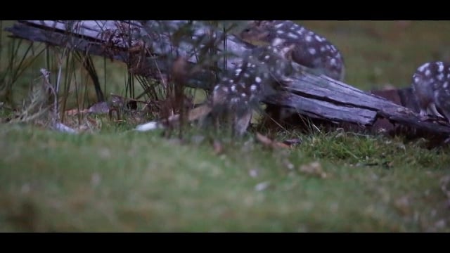 Waterfalls Cafe & Gallery