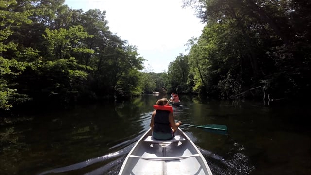 Video thumb