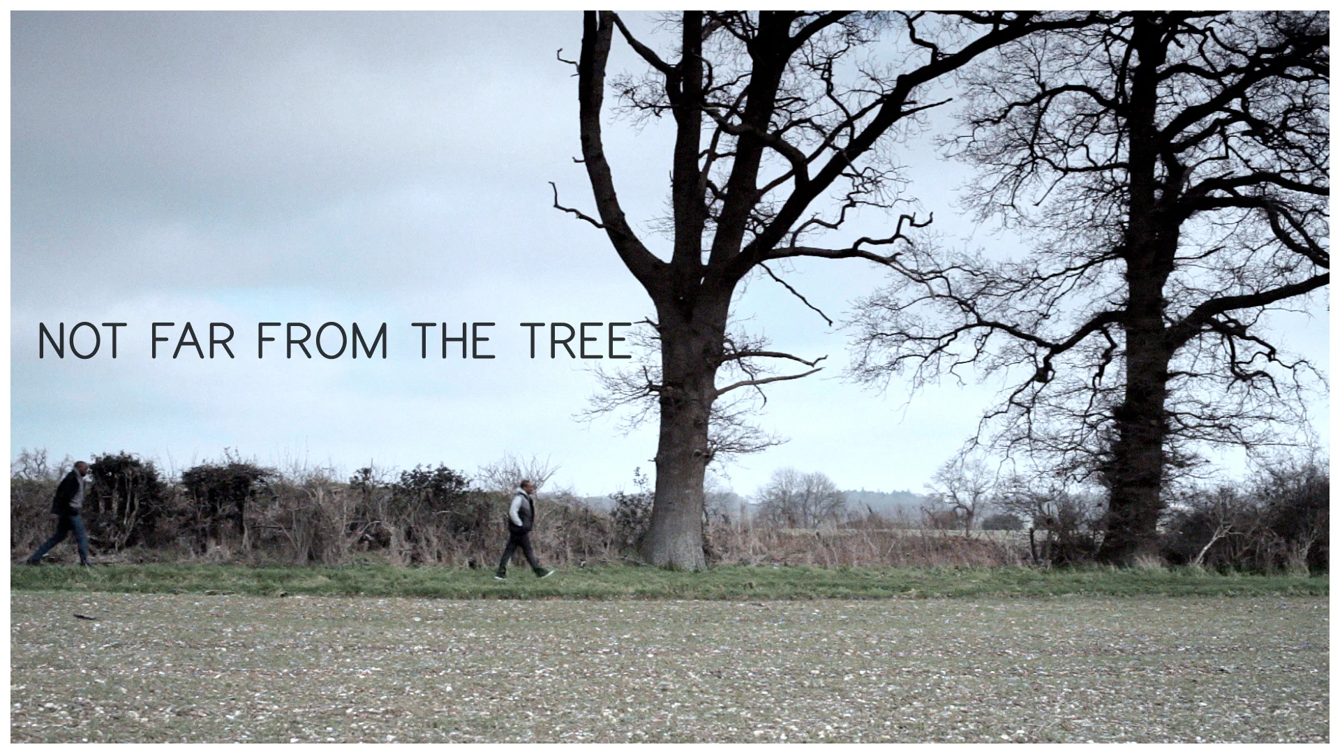 Far be it from me. Дерево 2014. Far from the Tree. Far from the Tree 2021.