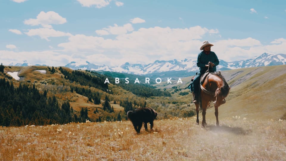 The Collective Quarterly // Issue 1 // Absaroka