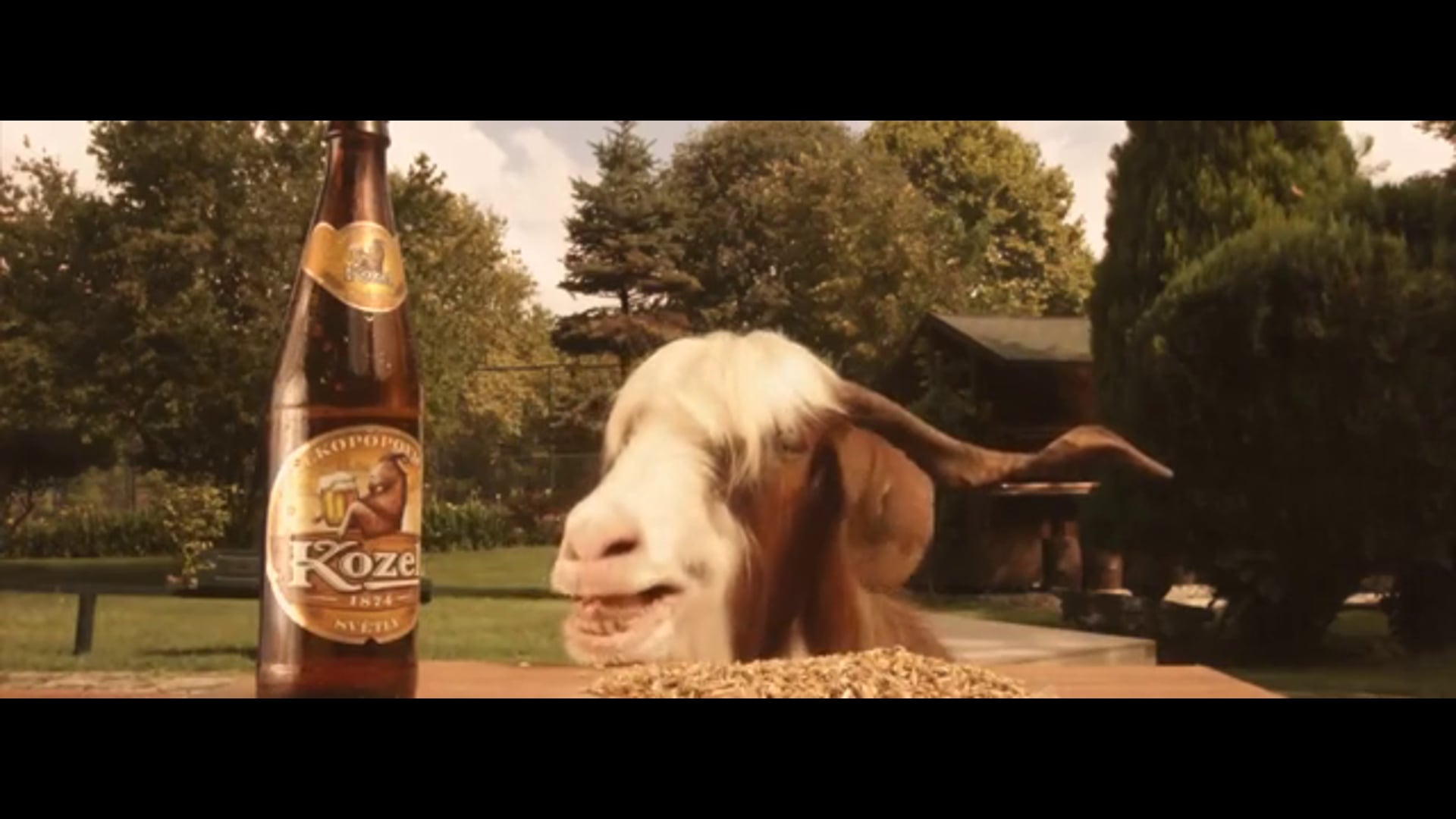 Kozel