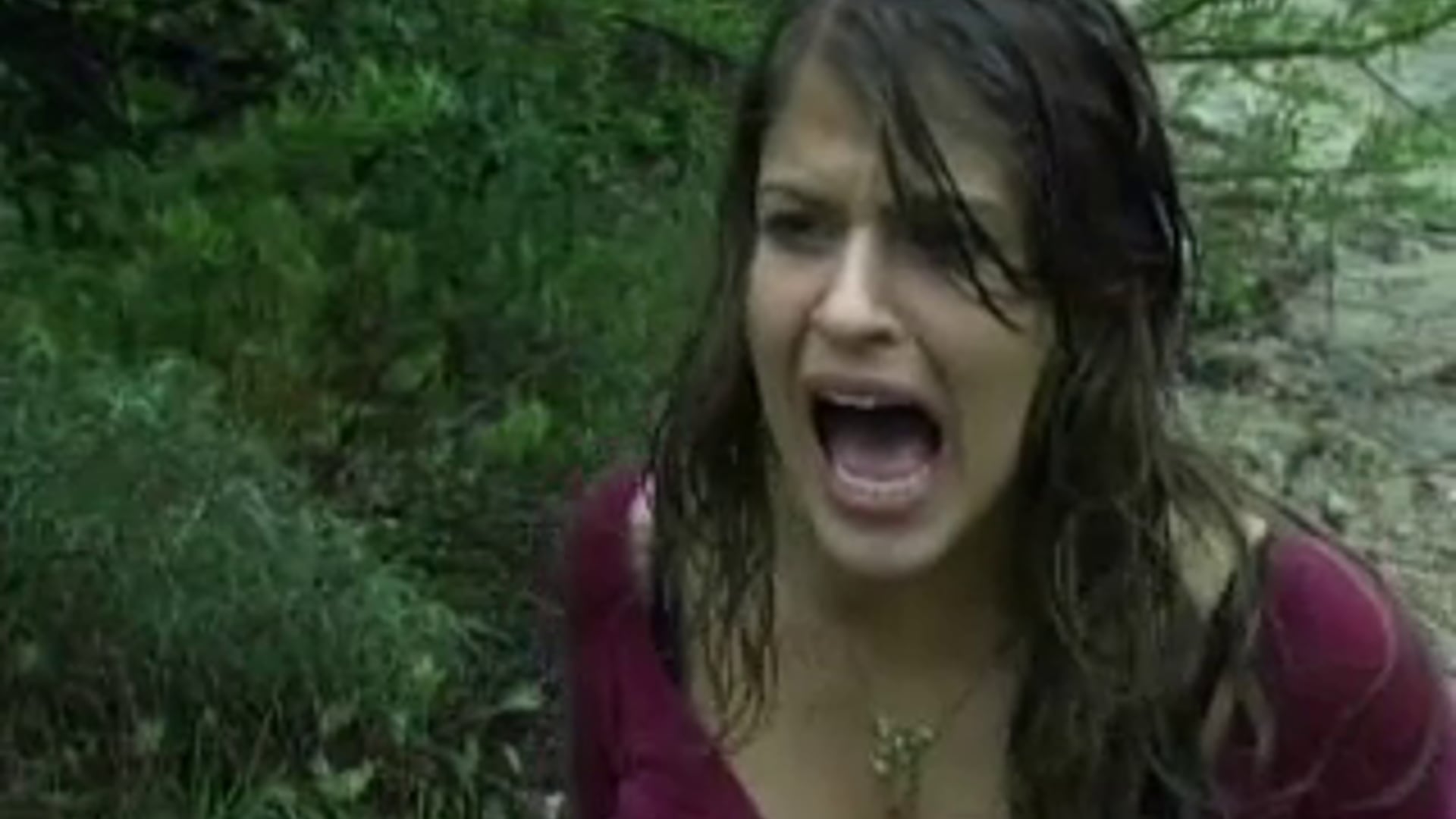 Within The Woods trailer