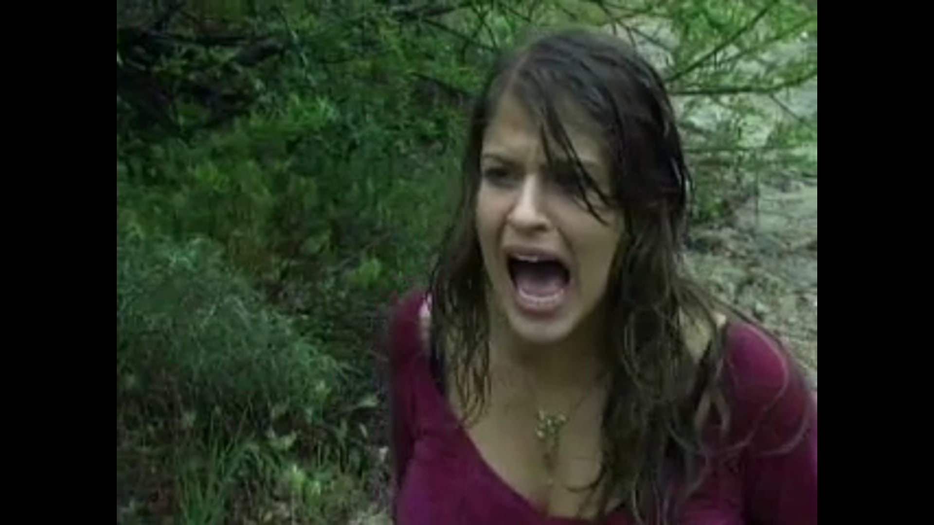 Within The Woods trailer