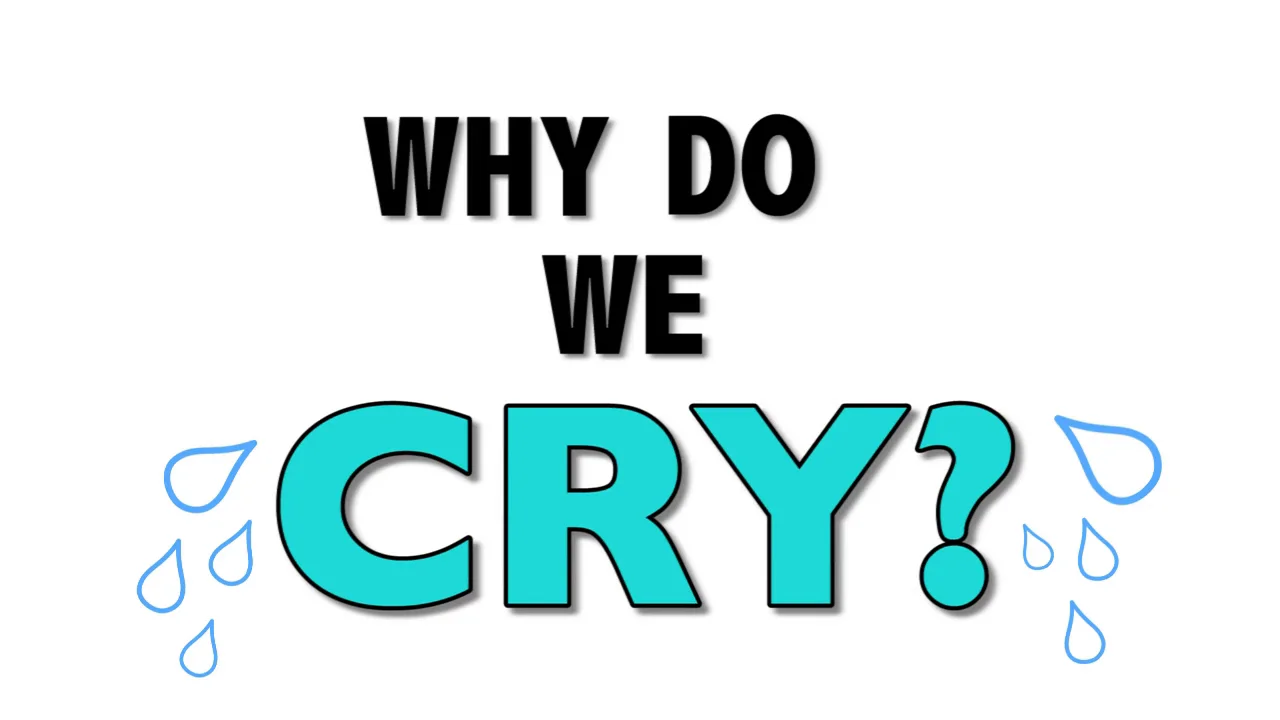 why-do-we-cry-on-vimeo