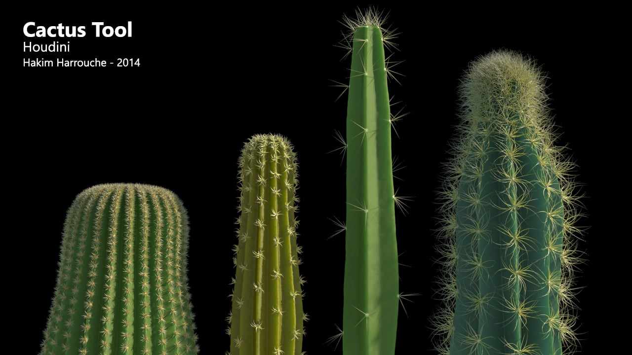 Houdini Procedural Cactus Tool