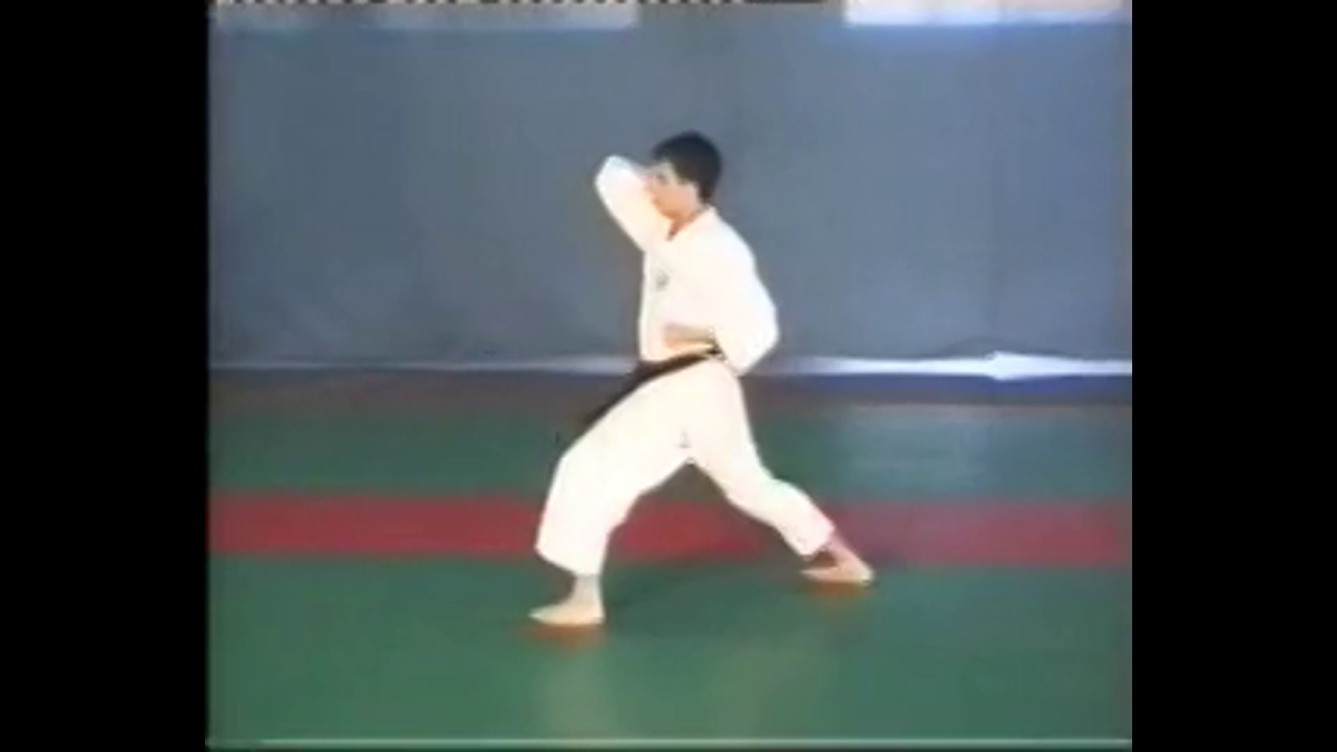 Nijushiho