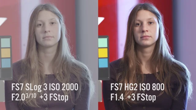 fs7 dynamic range