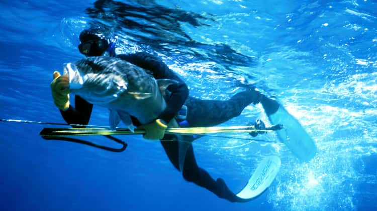 Spearfishing Australia