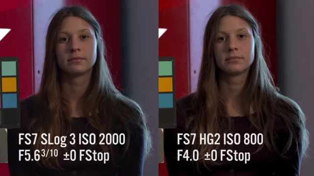 fs7 dynamic range