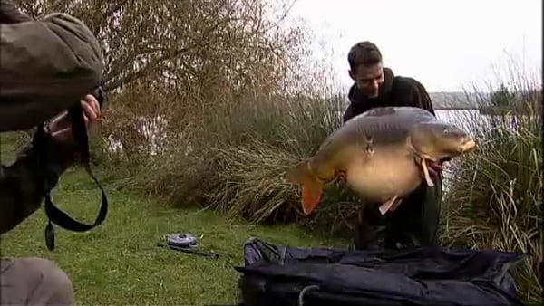The Gallery - Tetley Angling Silver Birch Fisheries