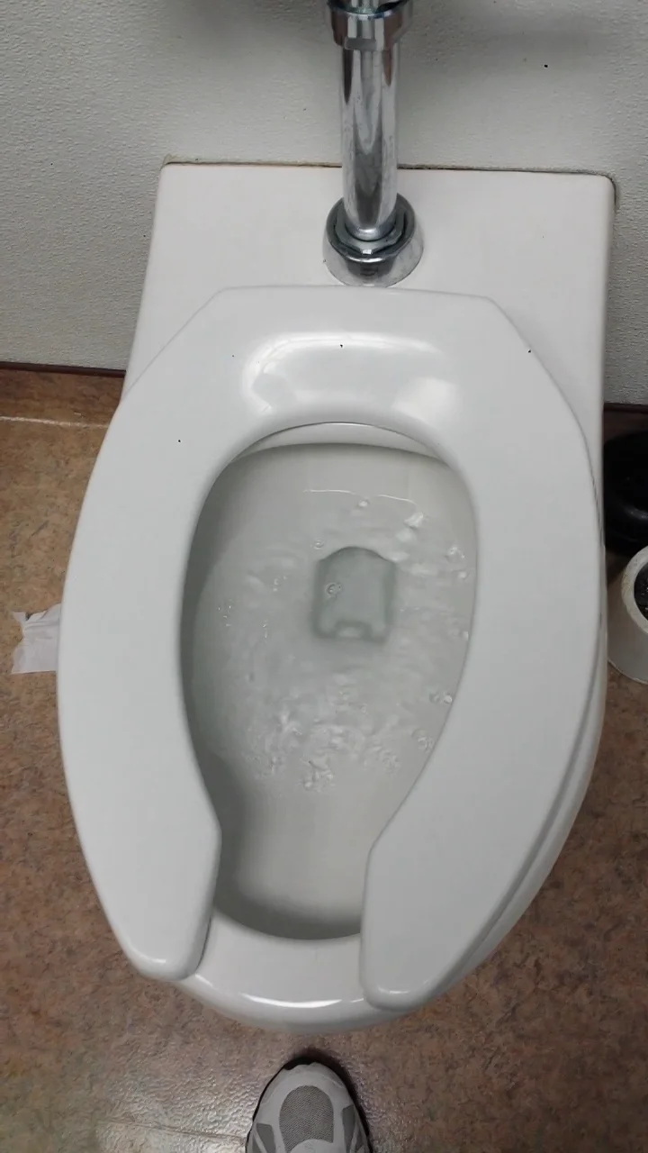 American Standard toilet & urinal at half price books in mckinney tx on Vimeo