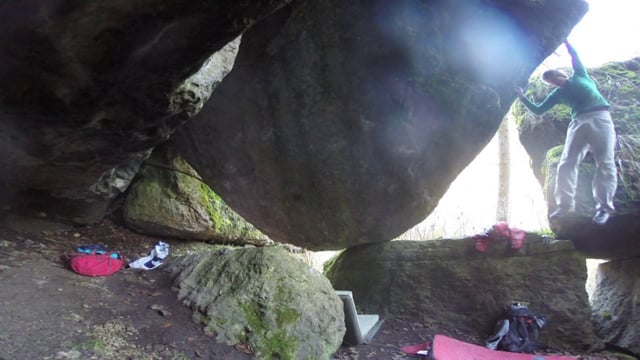 Montecore 8B+