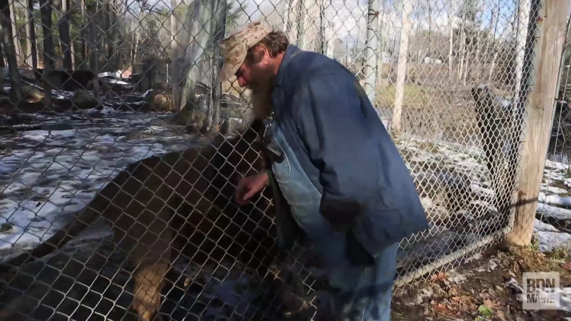 Inside the family-run Maine zoo that stars in reality TV series 'Yankee  Jungle' 