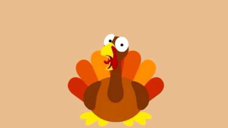 Rosting a Christmas Turkey with this Dual Pop Up Timer Set on Vimeo