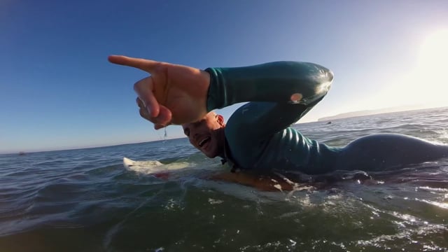 California Gold 20 from pat millin