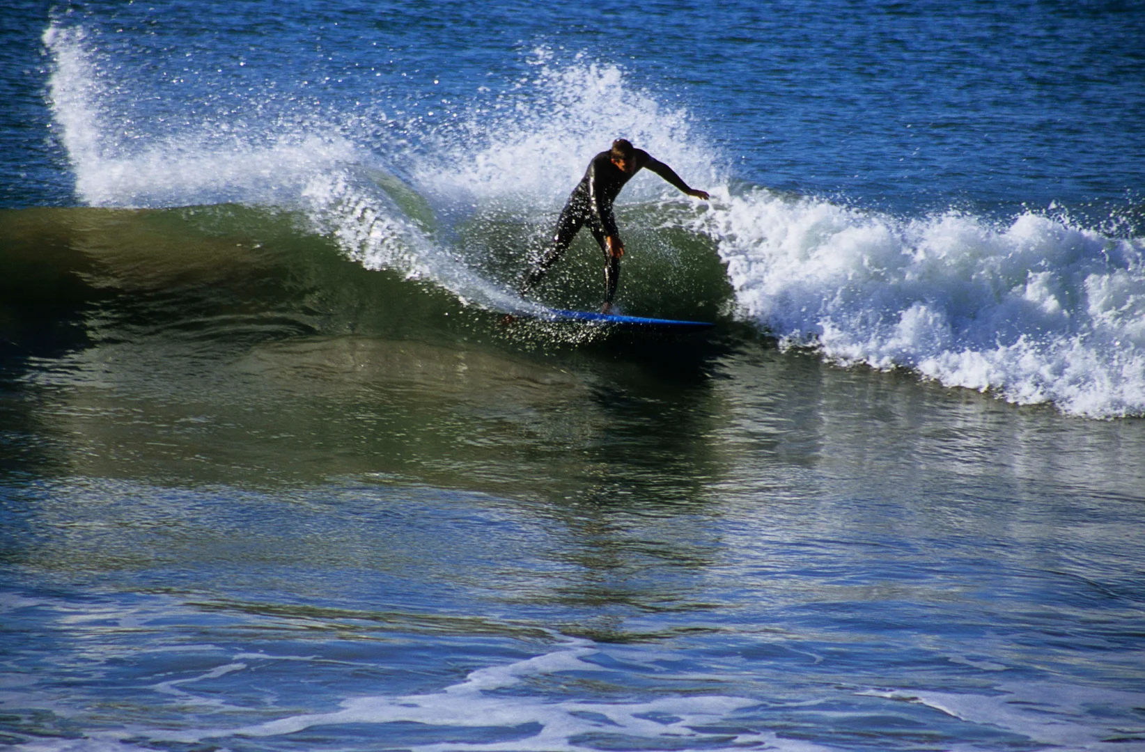 Channel Islands the MSF Review — Blinksurf® Channel Islands the MSF Review — Blinksurf®