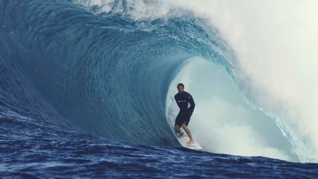 Party Pass from Turkeymelt