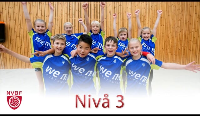 Minivolleyball - Niv&aring; 3