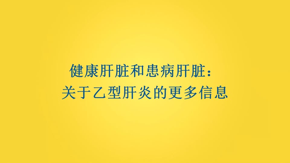健康肝脏和患病肝脏 关于乙型肝炎的更多信息on Vimeo