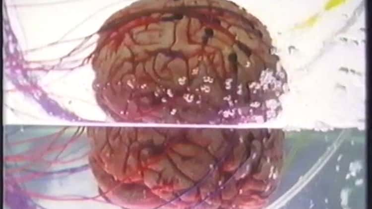 Victim of the brain [1988] on Vimeo