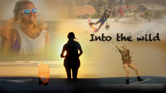 Aina Renolen - Into The Wild