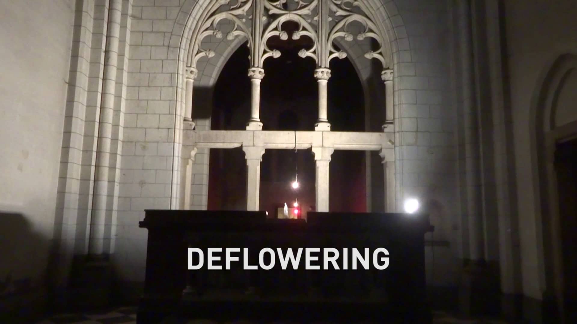 Deflowering exhibited in a church on Vimeo
