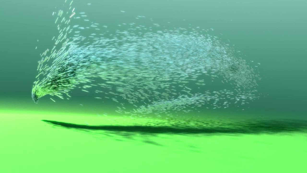 Particle Simulation FX in C++ and Python on Vimeo