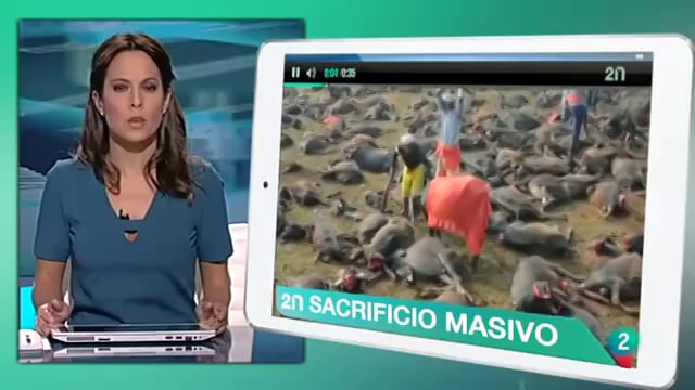 La 2 Noticias – Igualdad Animal graba con un dron la matanza de Gadhimai