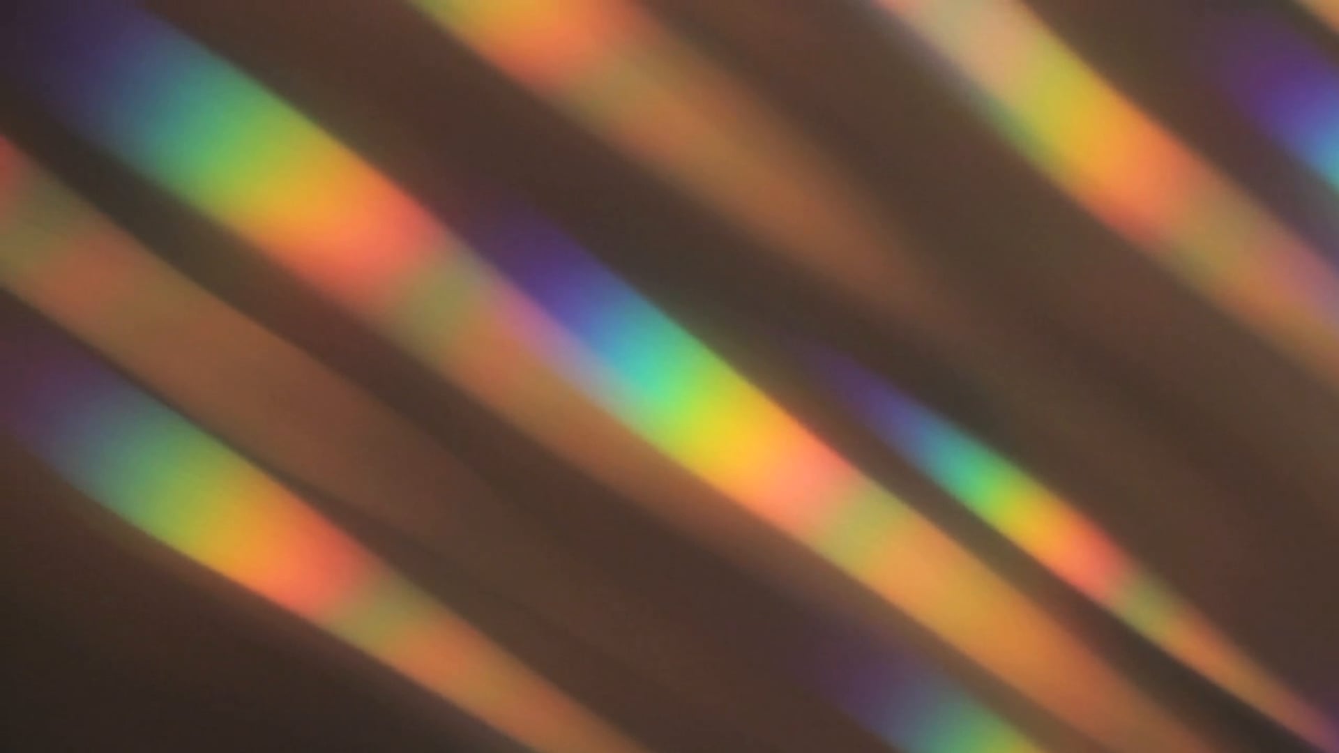 MONTOTO- Bienvenido a la otra dimensión