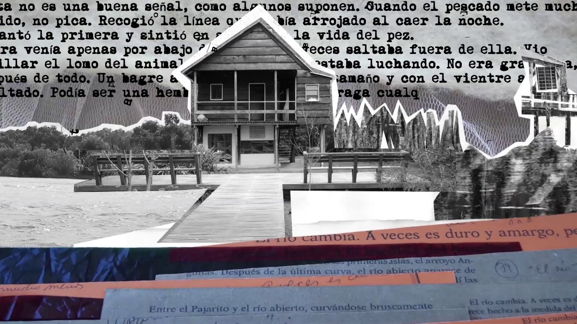 Museos Tigre (de la Reconquista, MAT, Sarmiento, Casa Haroldo Conti)