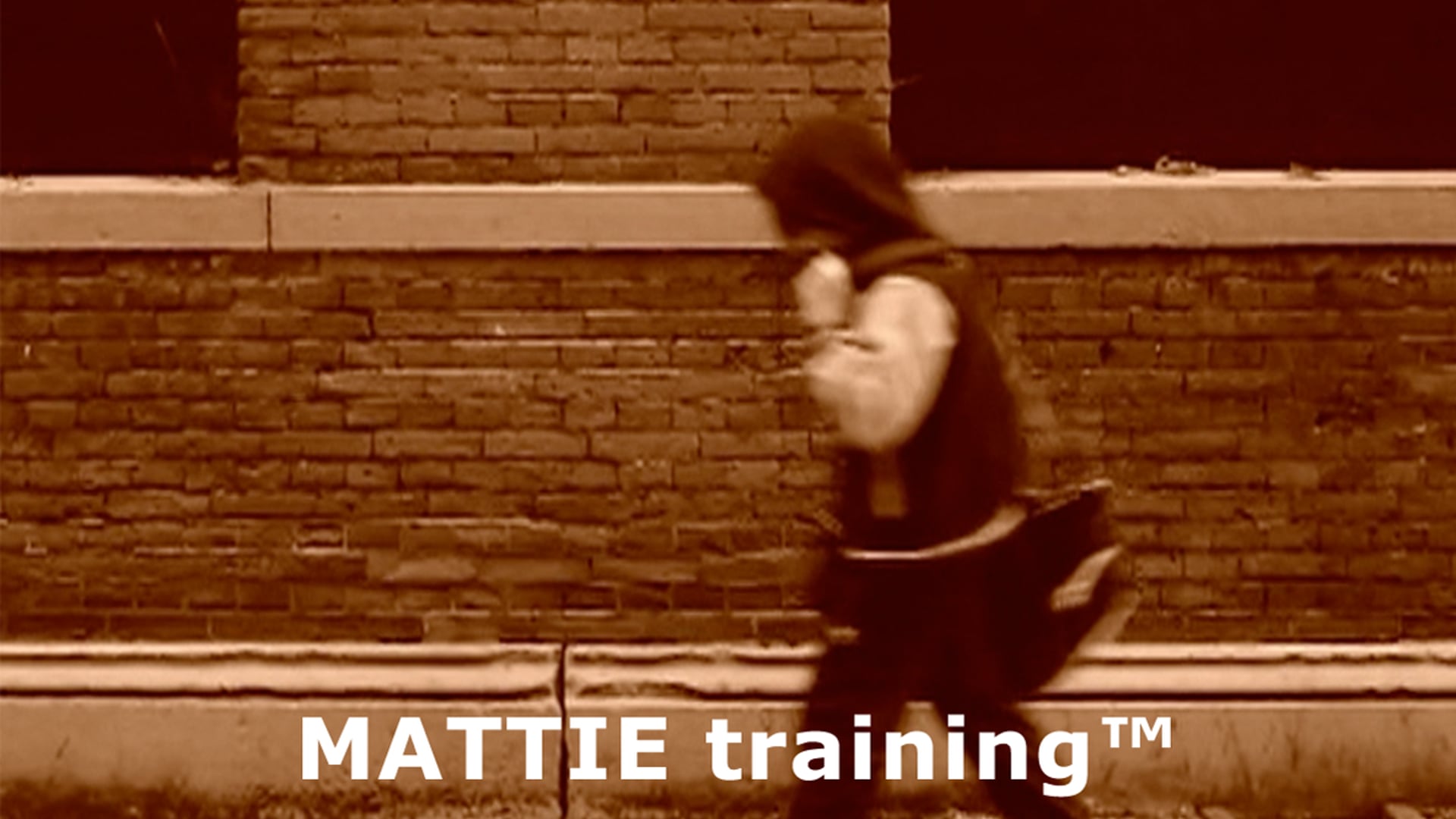 Mattie training bij boksschool van 't Hoff