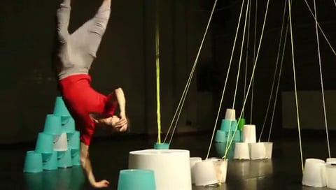 elephant walk TRAILER / Célestine Hennermann