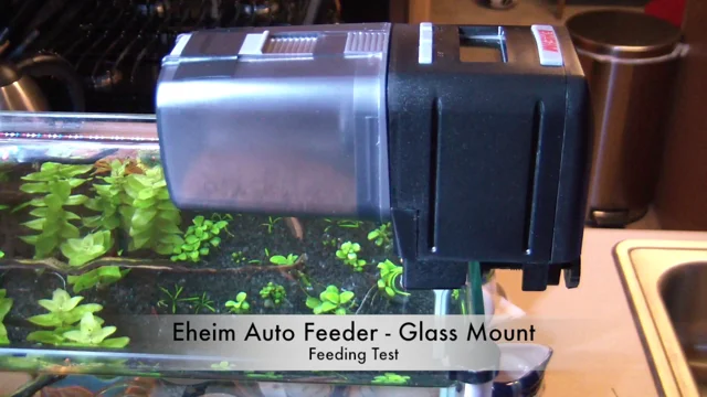 Eheim fish 2024 feeder mounting