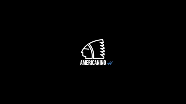 Americanino - Double Check