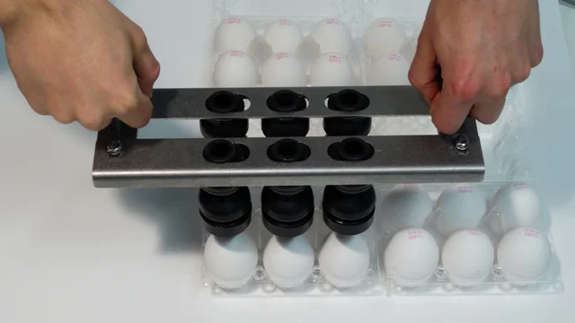 Nuovo Egg Printing and Egg Stamping Systems - Easy Stamp EMS6