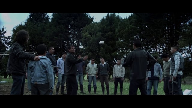 Official Trailer