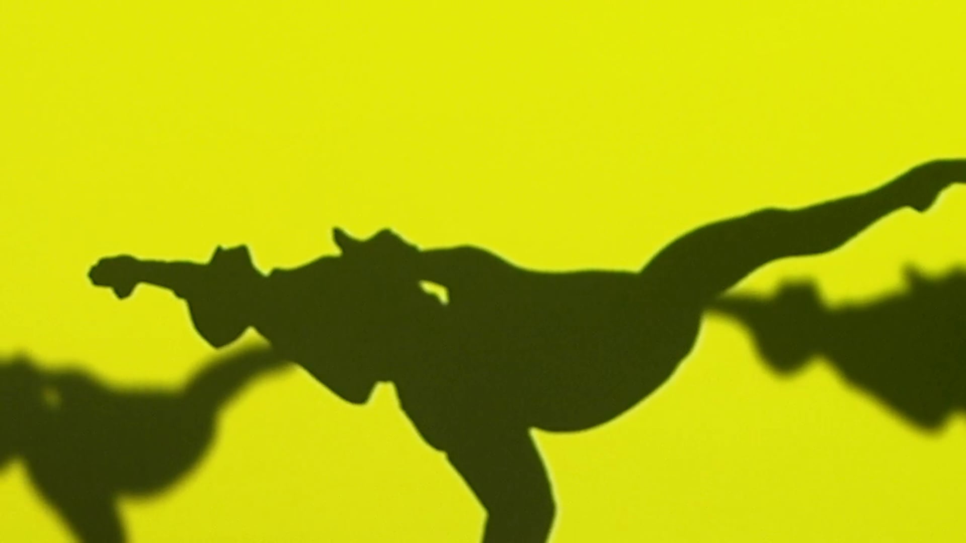 dance-shadow-performance