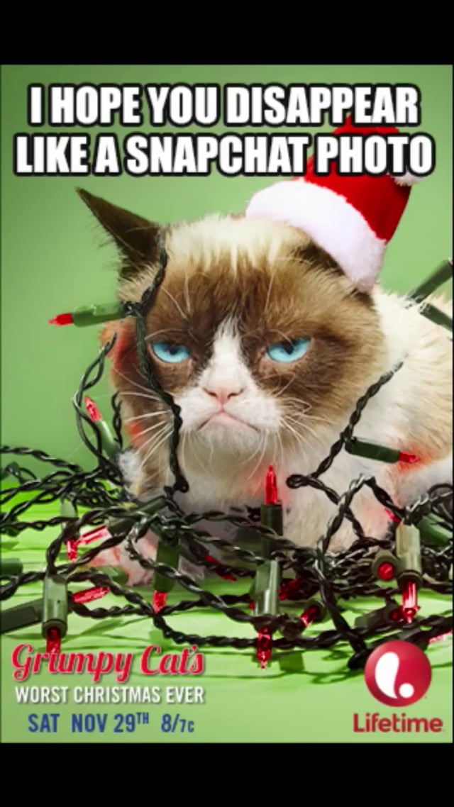 Woman Loses It Over 'Grumpy Cat' Filter On Snapchat